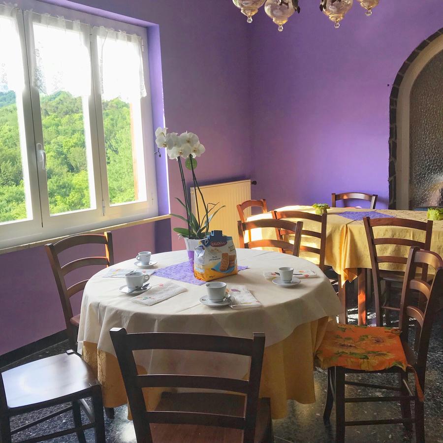 Albergo Delfino San Pietro d'Olba Exteriér fotografie